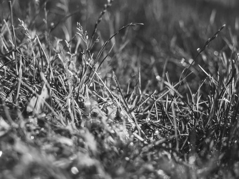 sudoku cloud sync screenshot 6